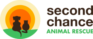 Second Chance Logo